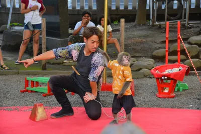 DSC_3513 (Large).JPG